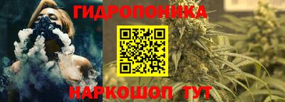 меф Кингисепп