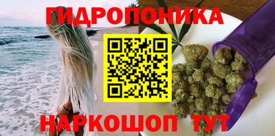 меф Кингисепп