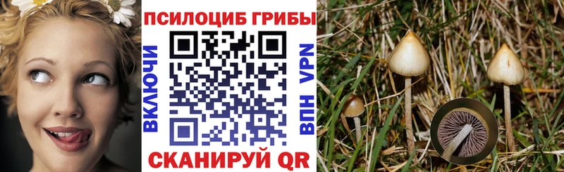 Псилоцибиновые грибы Psilocybe  Крымск 