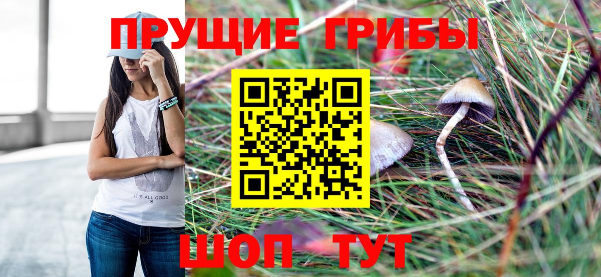 Псилоцибиновые грибы Psilocybe Крымск