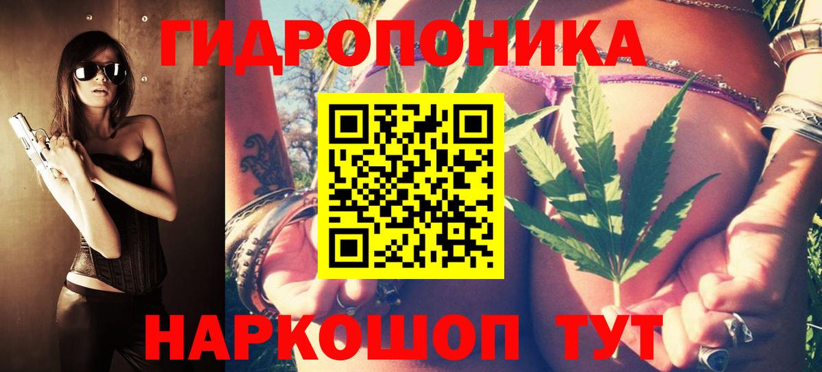 Каннабис марихуана  Вход с VPN  Крымск  Бошки марихуана индика  Каннабис Ganja 